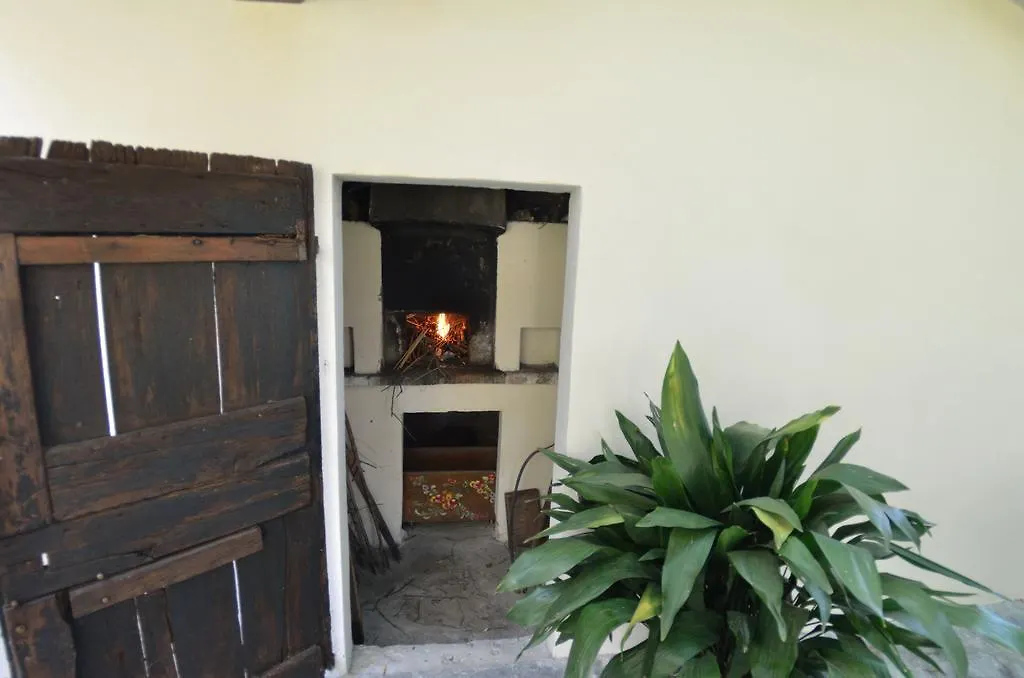 Casa Romana Holiday home Viareggio